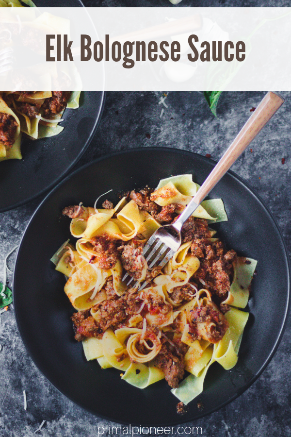 A simple slow-cooked elk bolognese sauce, the perfect hearty sauce for your elk harvest. #wildgame #elkmeat #elkbolognese 
