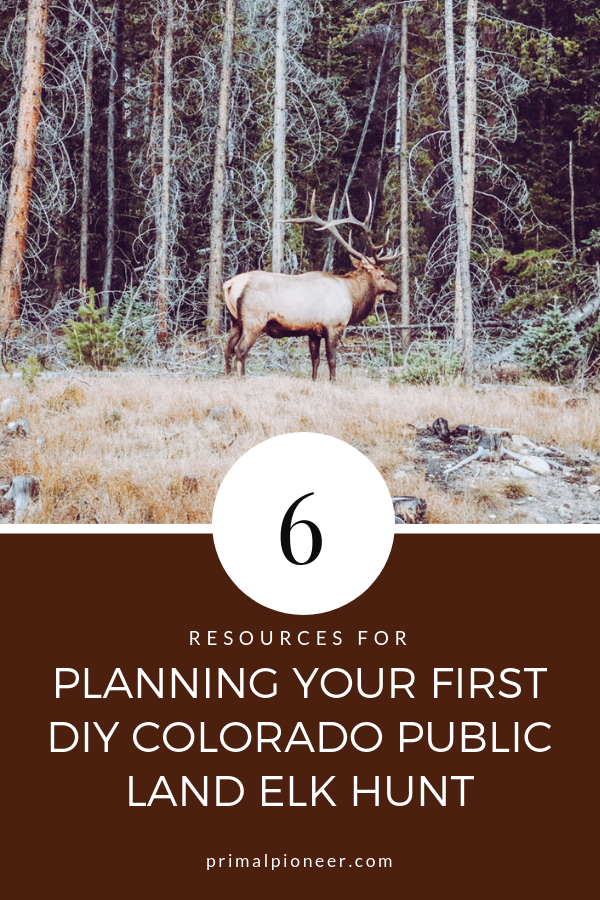 Planning your first DIY Colorado public land elk hunt can seem overwhelming at first. From knowing where to purchase your OTC elk tag, to what gear for high elevation hunting, to how to pick your unit, if it's your first DIY Colorado, public land elk hunt it can seem like a daunting task. I'm sharing six resources that I highly recommend that will help you start planning your first DIY Colorado elk hunt. #publiclandhunting #coloradoelkhunting #DIYelkhunting #primalpioneer #OTCelkhunting