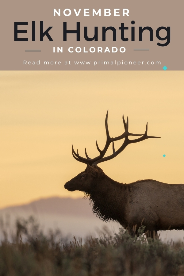 pinnable image that says November elk hunting in Colorado