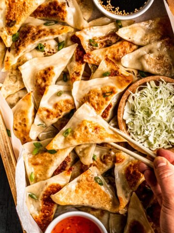 a tray of elk pot stickers