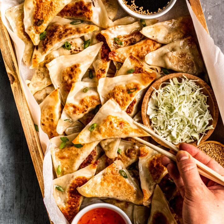 a tray of elk pot stickers