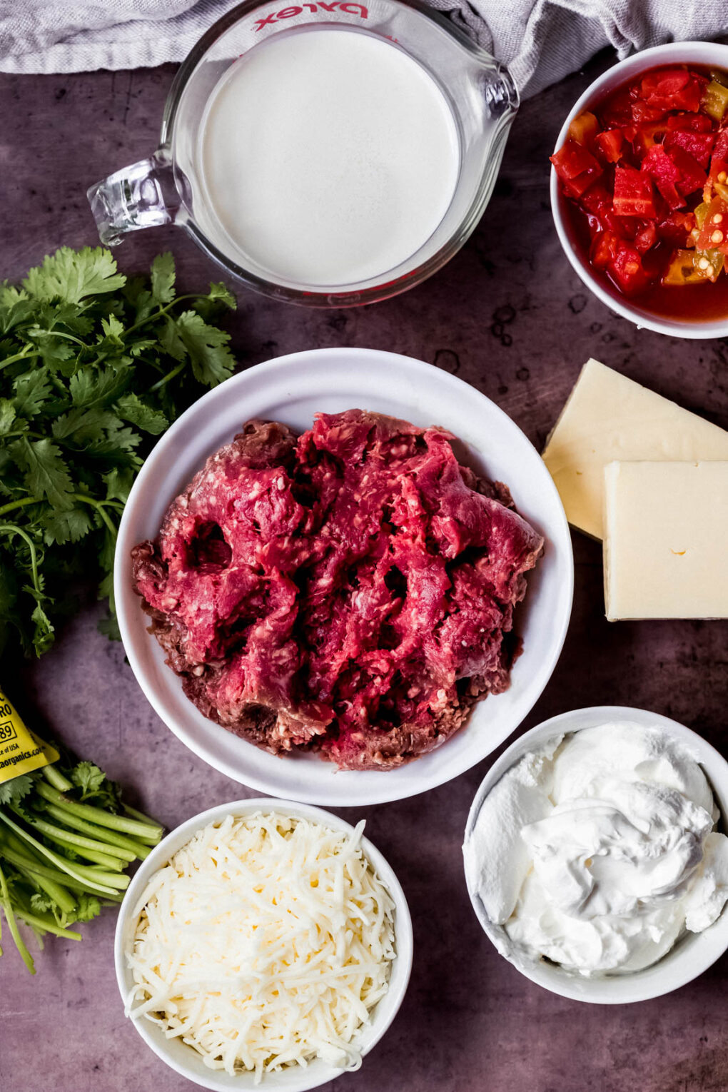 ingredients to make crockpot venison queso dip